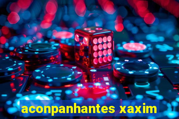 aconpanhantes xaxim